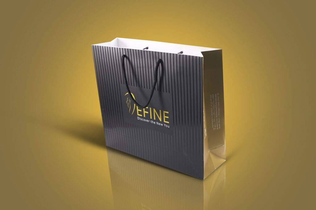 Bag design Thanjavur-Trichy-Chennai